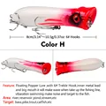 COLOR H