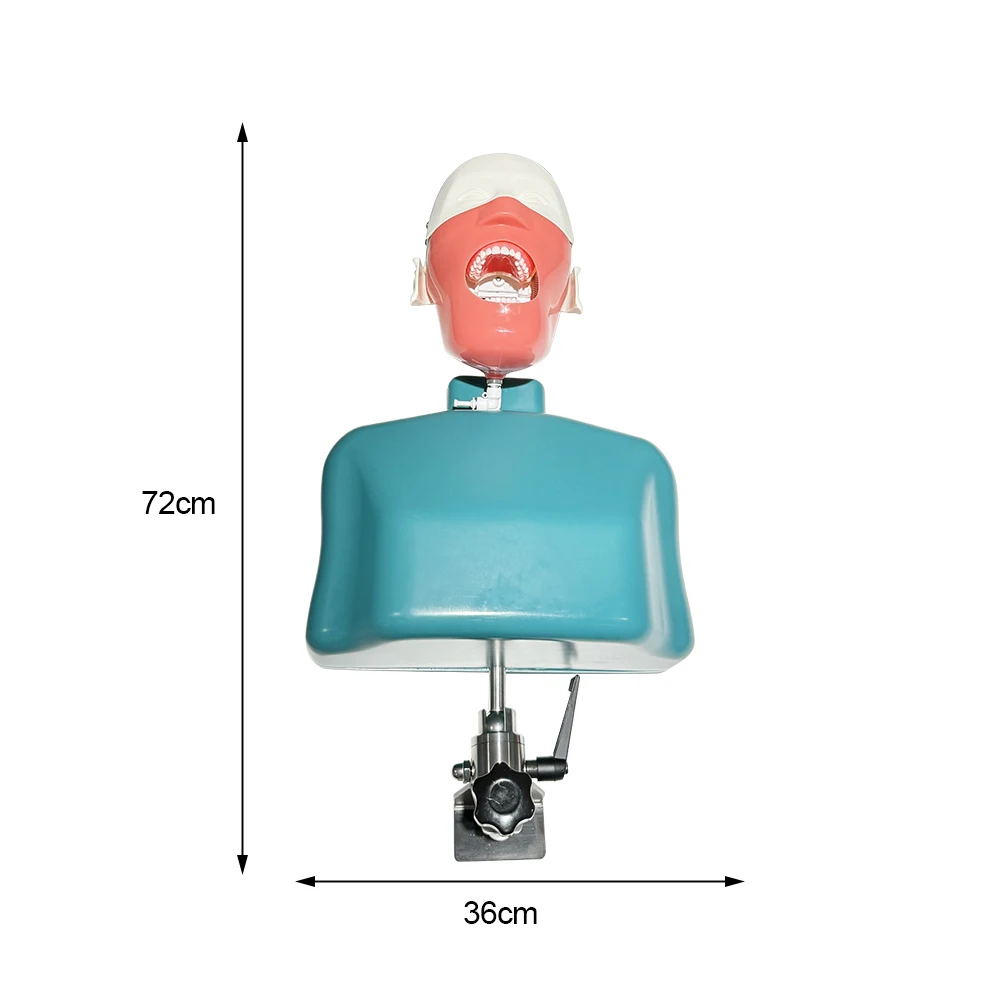 Dental Simulator With Shoulder Body Dentistry Manikins Phantom Model Typodont Teeth Teaching Training Model Assistant Practice