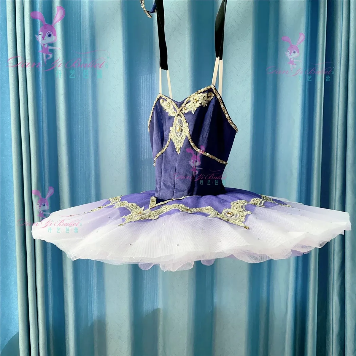 Danyi Ballet tutu disk skirt Purple Venice Competition performance dress Adult Children stage skirt Professional customization