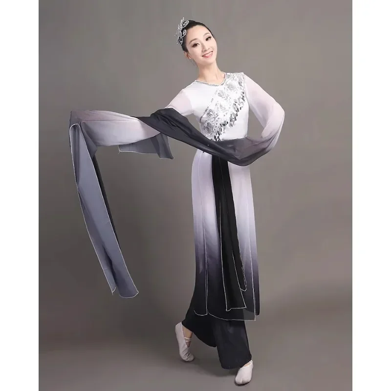 Costume da performance di danza Hanfu con maniche ad acqua da donna Danza classica per uomini e donne, abito da performance di danza con inchiostro, maniche lunghe da donna