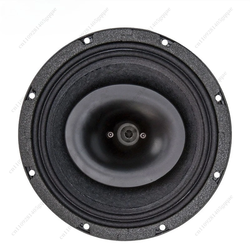 8-Zoll-Koaxial-Breitbandlautsprecher mit externem Horn, gewöhnlichem Magneten, 44-Kern-Hochtonlautsprecher und 50-Kern-Tieftonlautsprecher – Detail 4