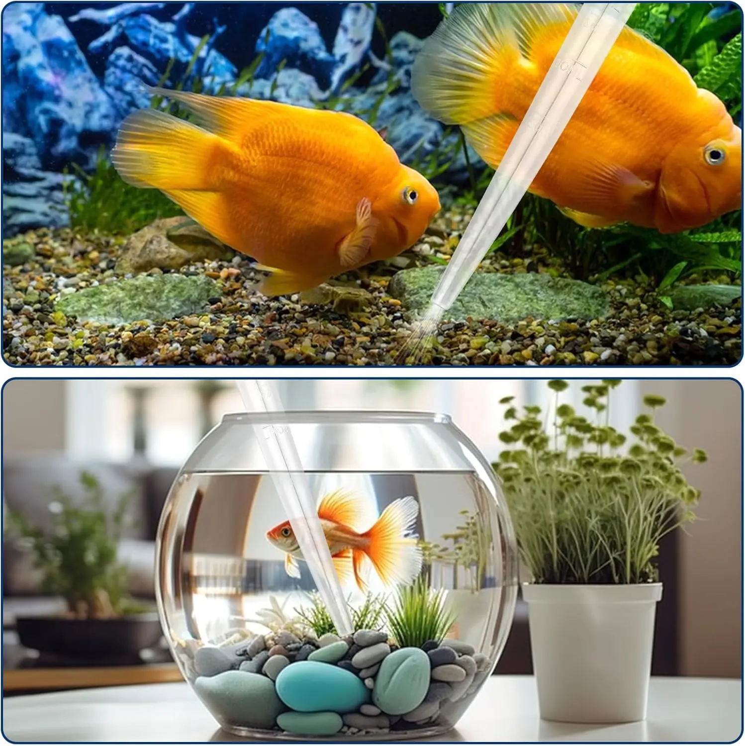 30 ml Aquarium-Abfallentferner – manuelle Tropfpipette zur Fleckenreinigung von Steinen, Zahlen und kleinen Tankbereichen