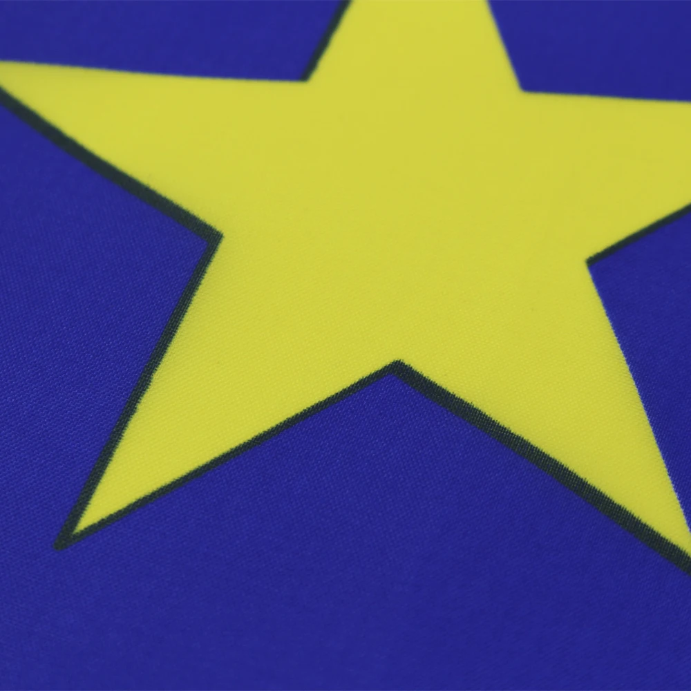 FLAGLINK Bandera Unión Europea – Decoración interior y exterior - imagen 2