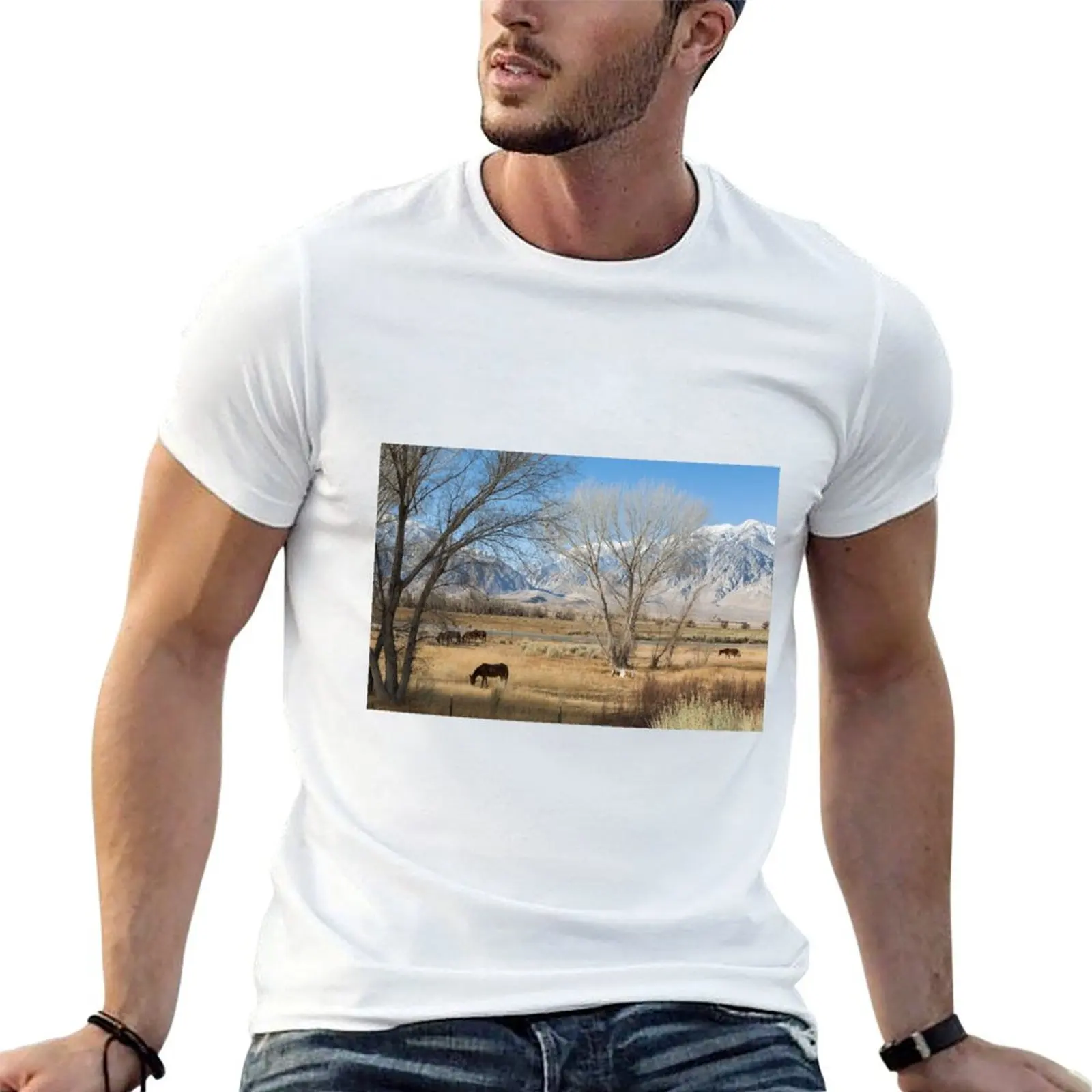 Horses Grazing In A Meadow T-Shirt Breathable Lightweight Summer Top