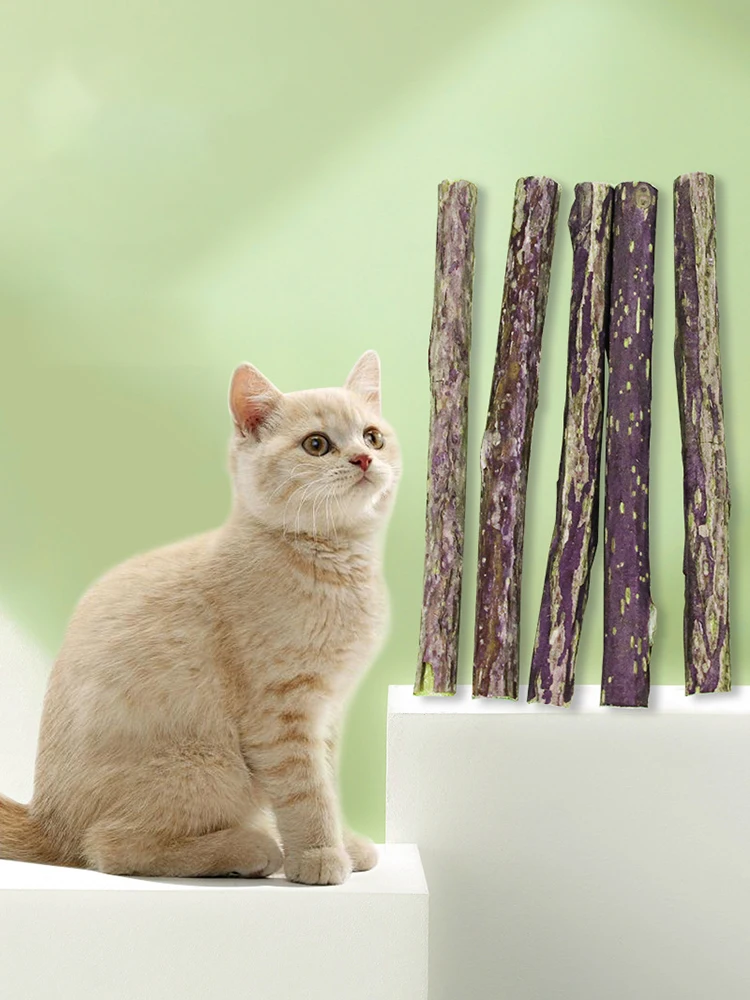 15 Stück/30 Stück Natürliches Matatabi-Katzenminze-Spielzeug für Kätzchen, Kaustick zur Zahnreinigung, Katzensnack-Spielzeug, Actinidia Silvervine – Detail 5