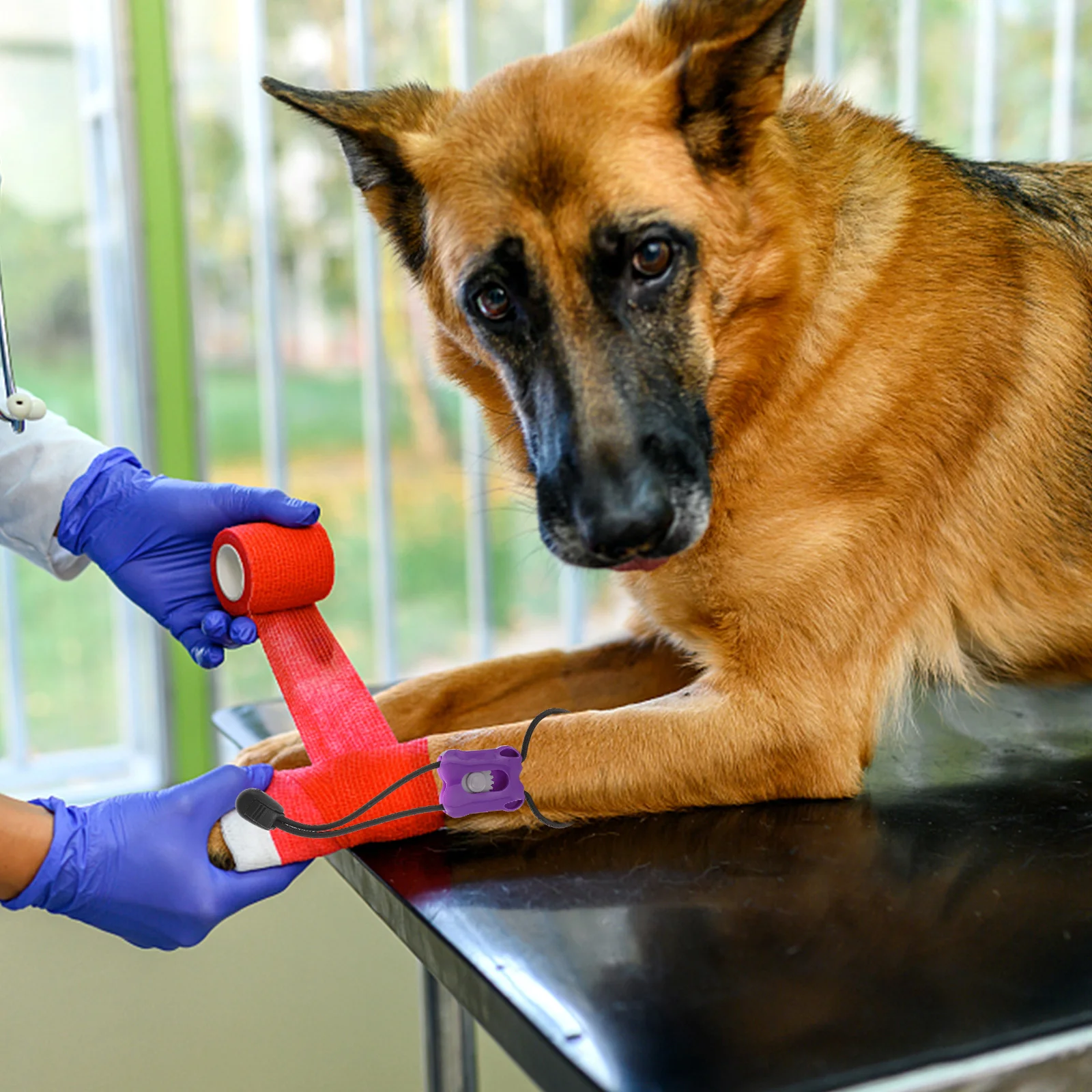 4 pçs torniquete de bolso animais de estimação cinto de restrição de fluxo sanguíneo plástico cão hemostasia cintas cintas