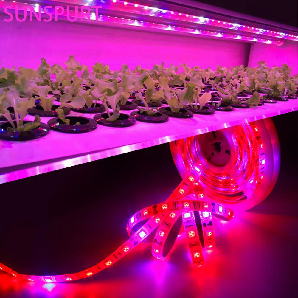 Phyto LED Plant Growth Light Full Spectrum Hydroponic LED Strip Diode Tape Dimmable 2835 for Seeding Plants Flowers Greenhouses