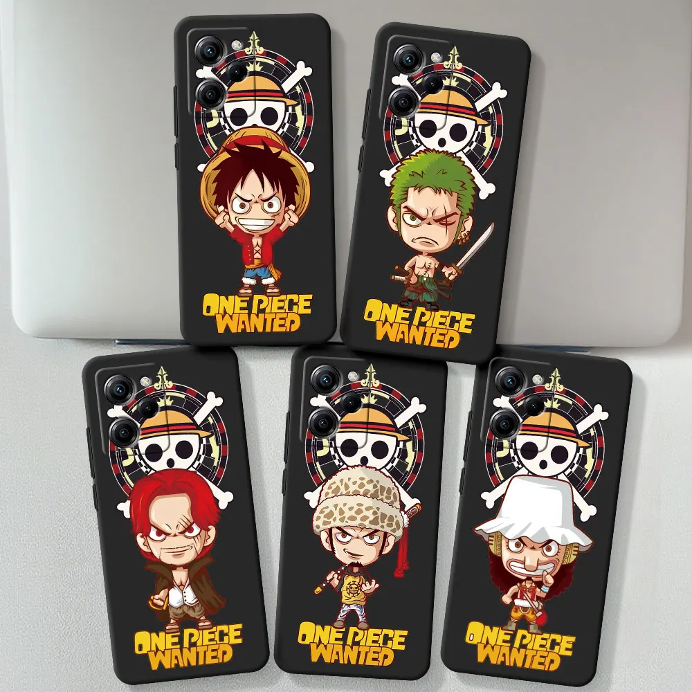 One Piece Art Case …