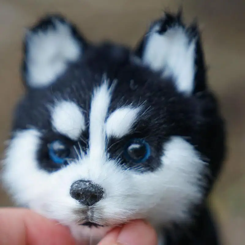  1/2/5pcs Realistic Husky Dog Plush Toy Soft Stuffed Animal Doll with Blue Eyes Handcrafted Dog Doll for Kids and Animal Lovers