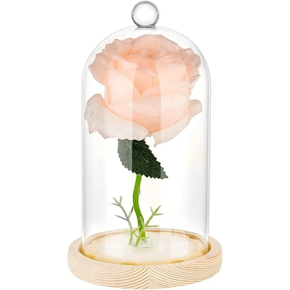 Cloche Glass Dome Decorative Display Case Clear Glass Display Dome with Top Handle Cloche Bell Jar Dome Cover for Plants Flower