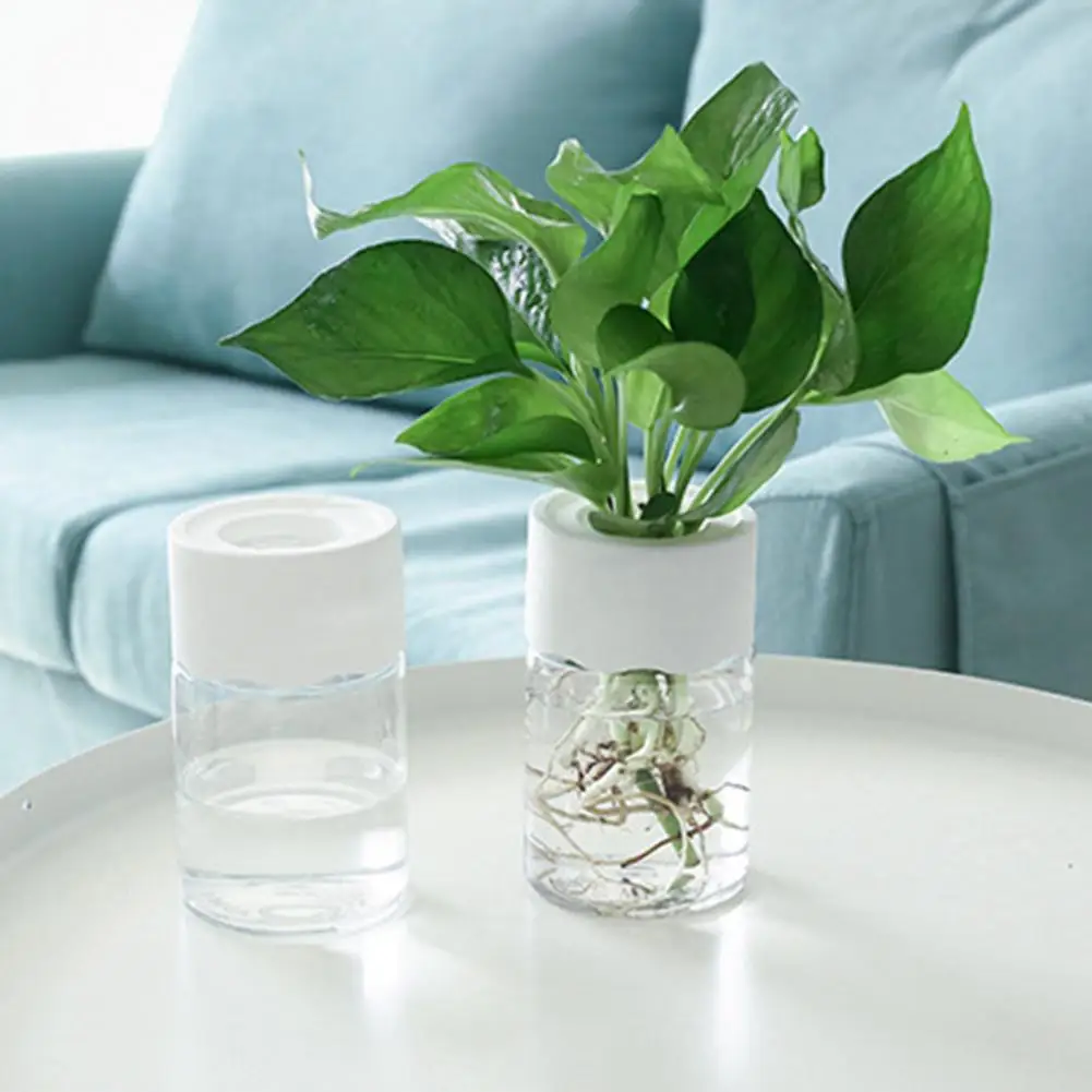 

Home Decor Water Plant Holder Transparent Hydroponic Flower Pots for Office Home Decoration Reusable Mini Planters for Green