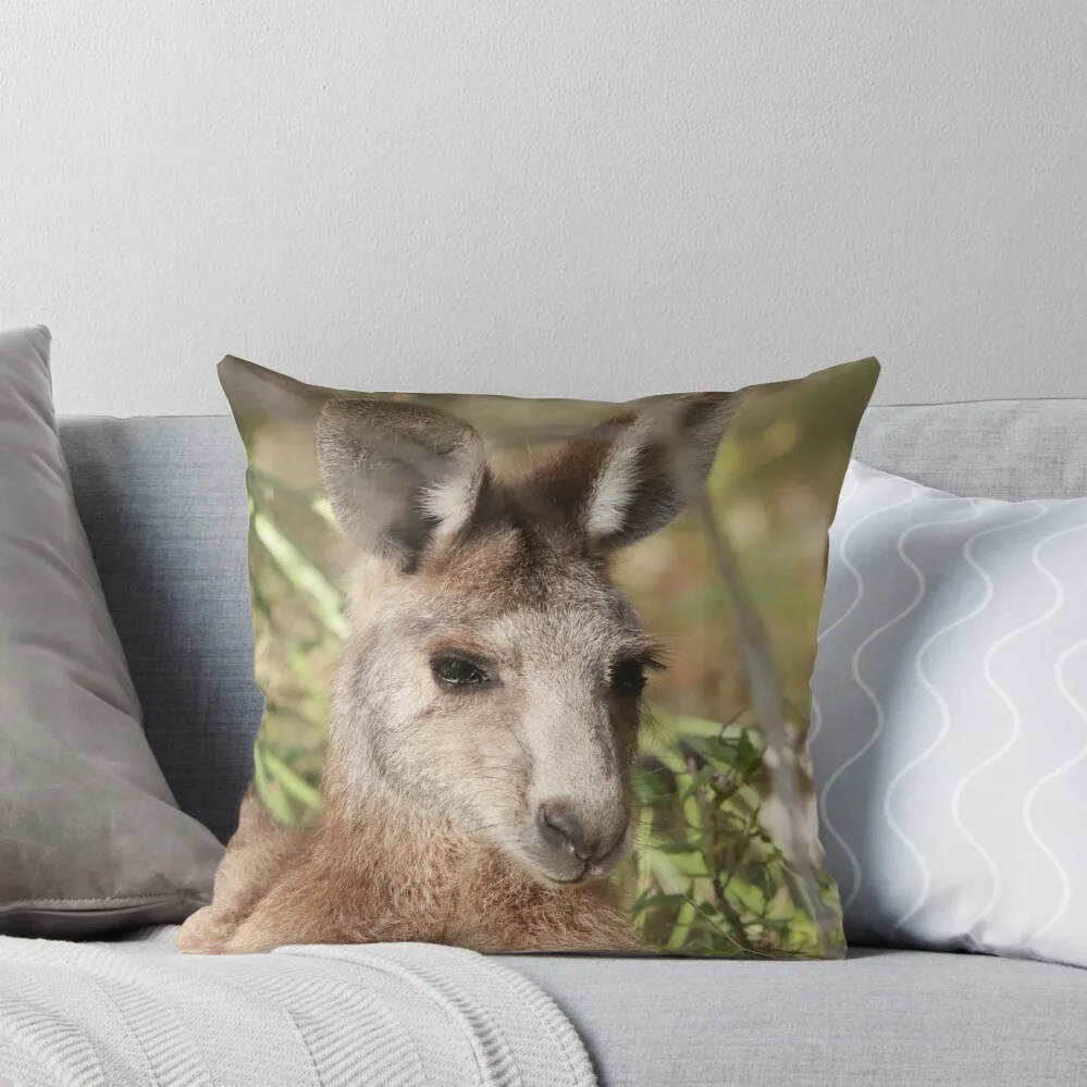 Kangaroo eyes Throw Pillow Couch Cushions Decorative Cushion pillow