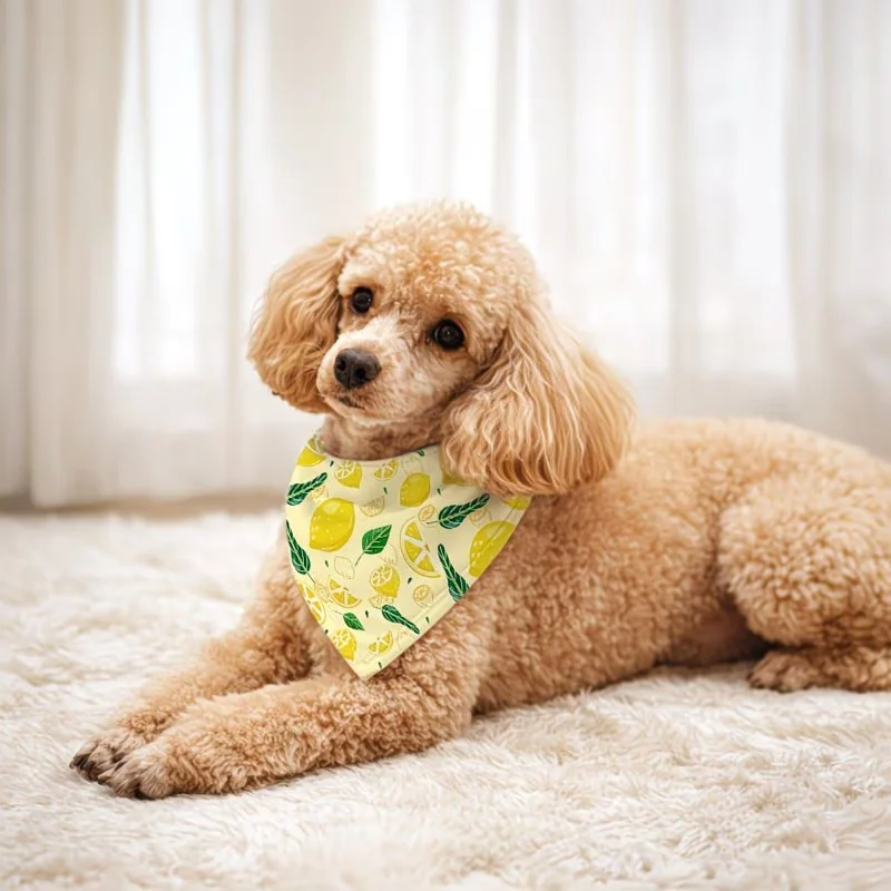 1PC Cute Princess Dog Bandana Scarf, Pink Pet Neck Kerchief With Crown Graphic For Small Medium Large Dogs or Cats