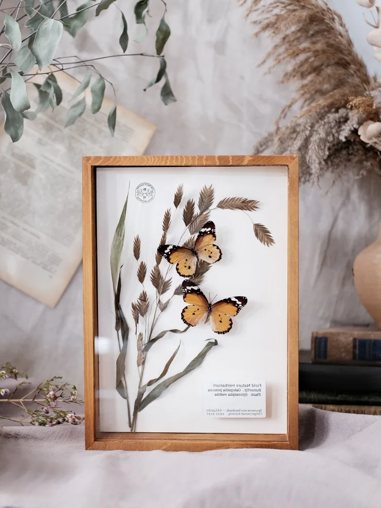 

Perennials Plant Specimens Insects Butterflies Science Specimen Box Decorative Picture Frame Rustic Home Furnishings