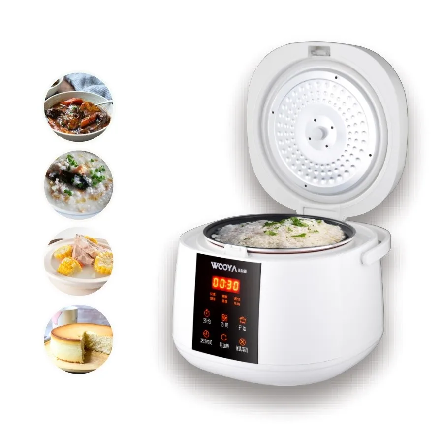 Small Size Mini Stewing Simple Operation Preset Timer 6 Recipes Home Rice Cooker