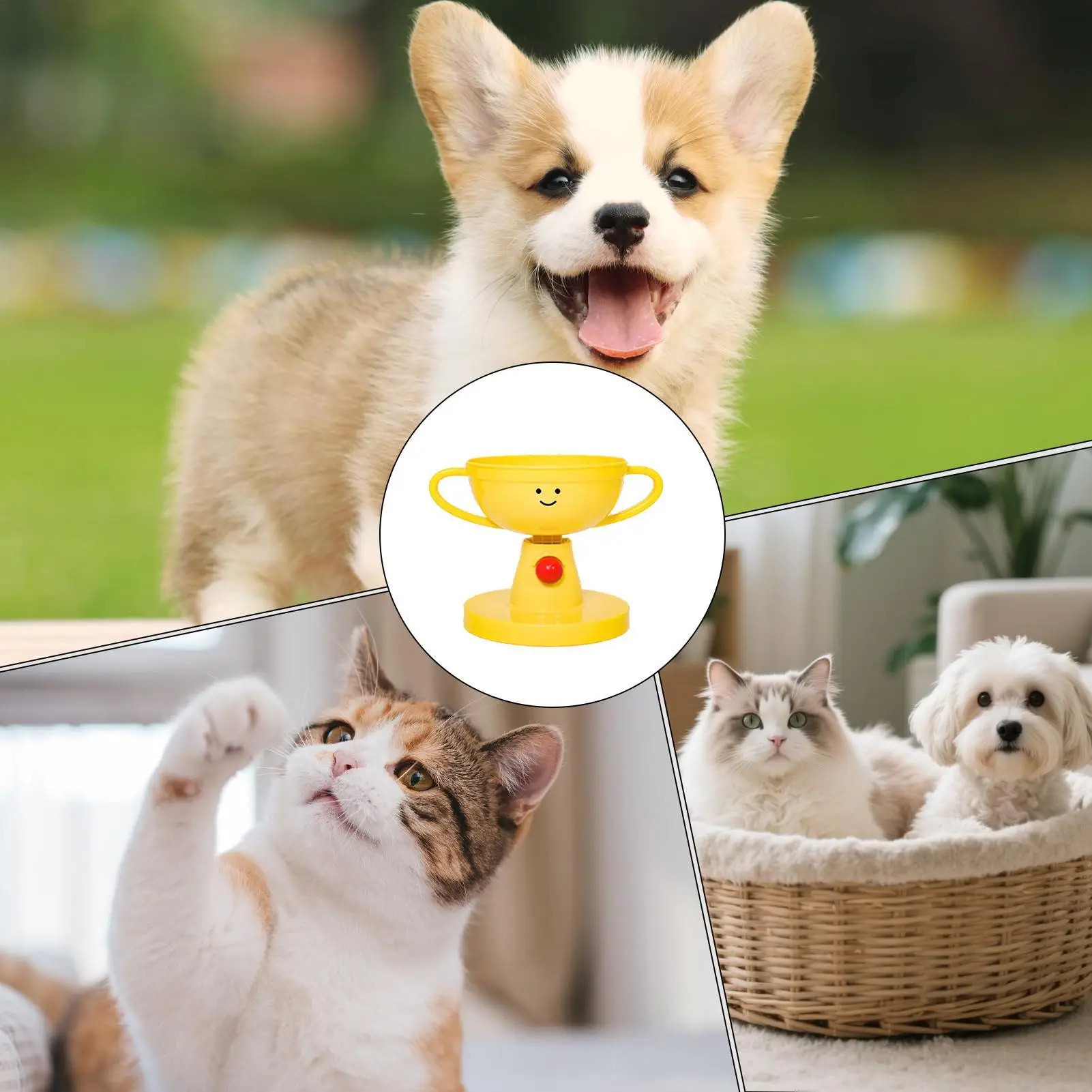 

Приподнятые миски для кошек, 5-уровневая маленькая нескользящая станция для кормления домашних животных с регулируемой высотой, регулируемая миска для кошек для еды стоячей еды