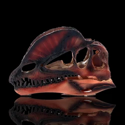 Dinosaur Model Dilophosaurus Resin Crafts Head Skull Dinosaur Fossil Skeleton Animal Skull Statues Handcraft Ornament Props