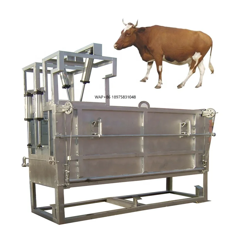 

Cattle slaughtering equipment Slaughtering plant machinery Agricultural machinery equipment