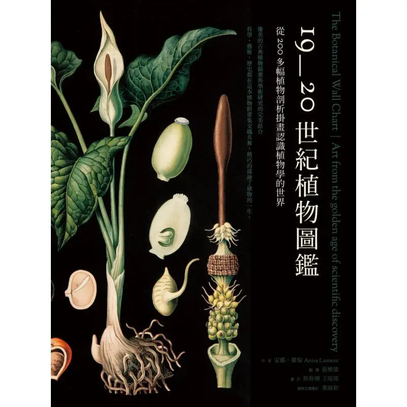 Plant Encyclopedia Of The 19th And 20th Centuries Discover The World Of Botany Through Over 200 Plant Analysis Wall Hangings