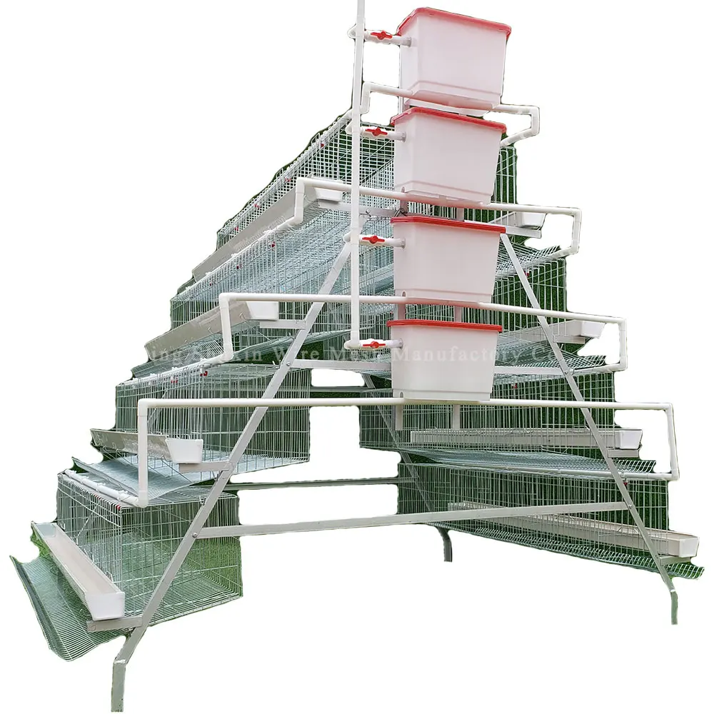 

Poultry Farm 5 Tiers 250 Birds Animal Battery Layer Chicken Cages
