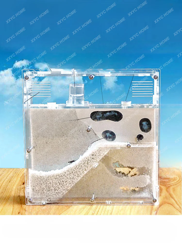 

Ant Workshop Is Suitable for All Kinds of Ant Castle Ecological Acrylic Ant Nest Ant Box Pet Spawning Breeding Nest Home