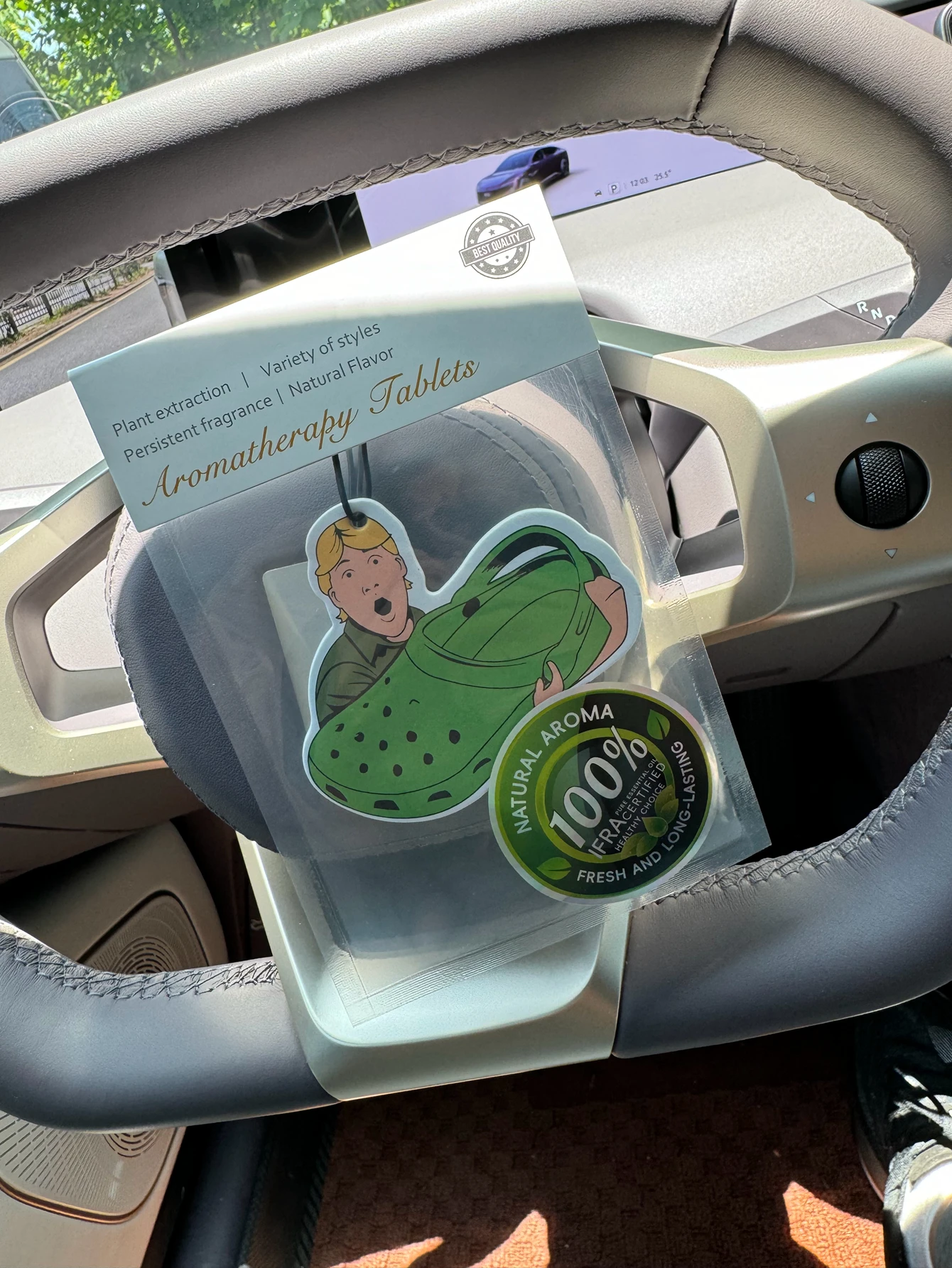 Surprise Oversized Green Shoe-Shaped Car Fragrance Diffuser, Wardrobe Air Freshener, Perfume, Rearview Mirror Decoration, Car Interior Pendant,