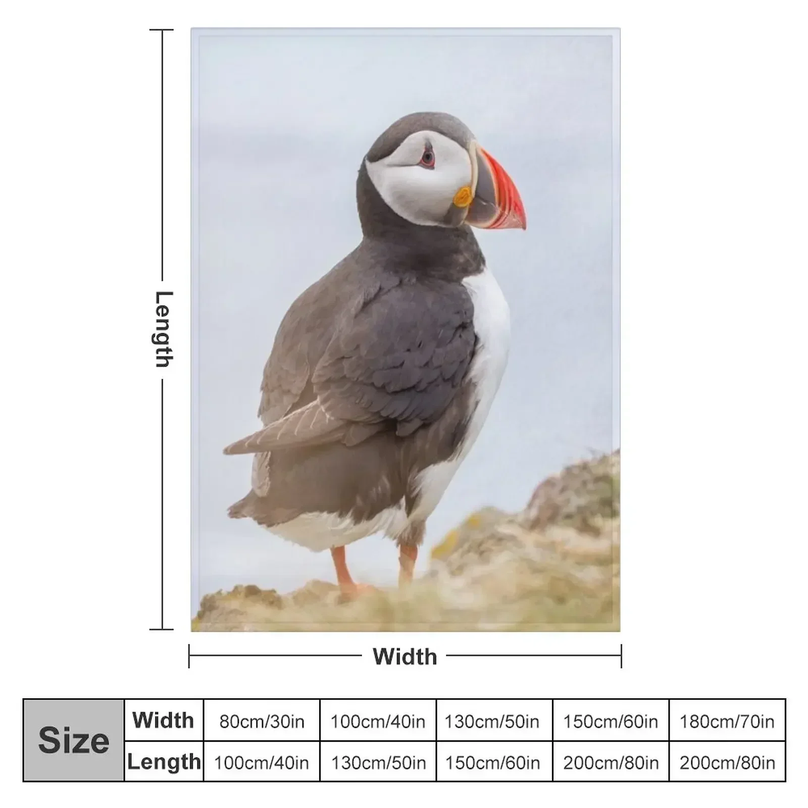 Atlantic Puffin #1 Throw Blanket Weighted Fashion Sofas Camping Kid'S Blankets