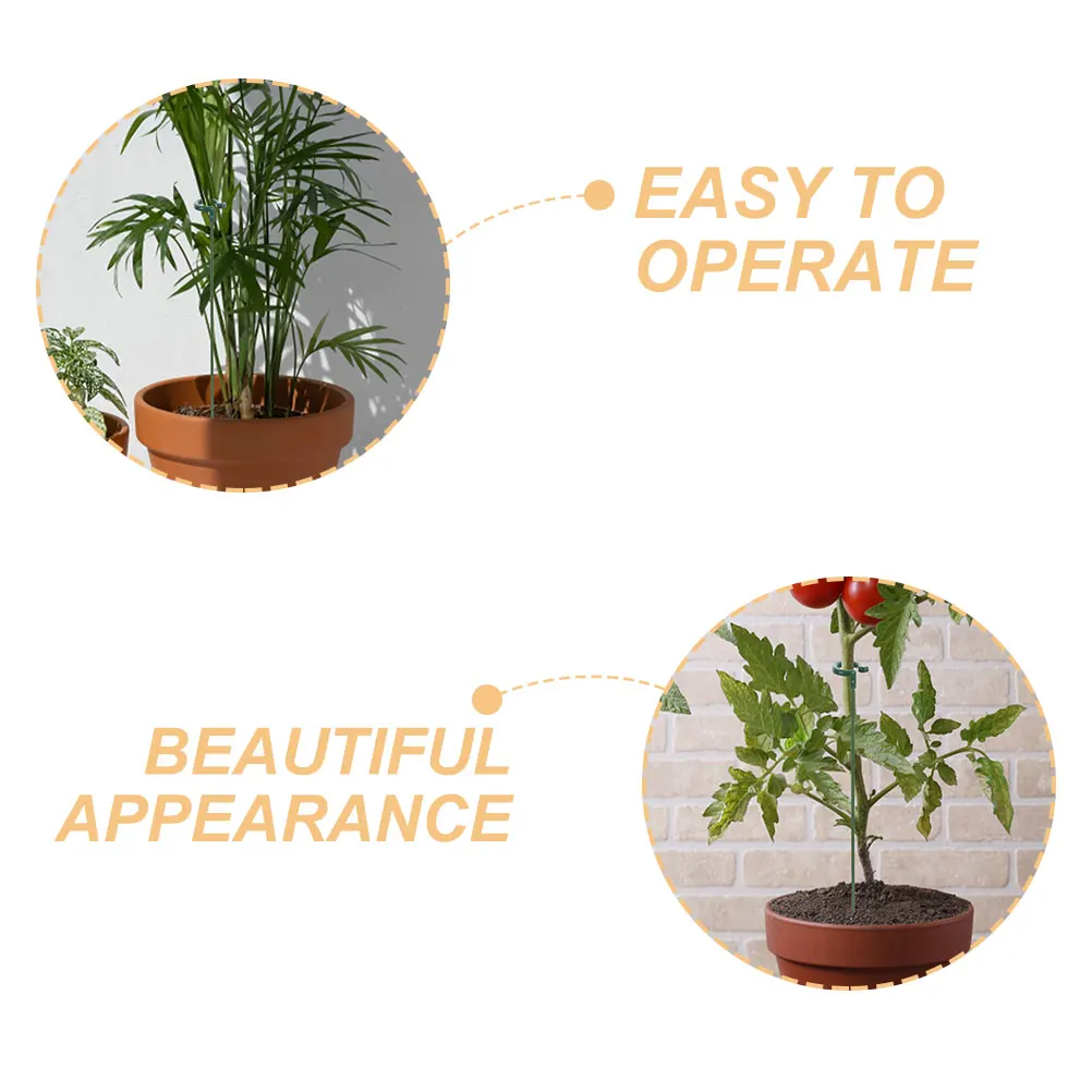 

10 Pcs Vine Plant Clip Flower Support Flowers Stand Climbing Frame Abs Supporting Racks Orchid