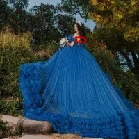 

Quinceanera Dress Lace Appliques Ball Gown vestidos para 15 vestido años Glitter Sequined Prom Gown Custom DZ74