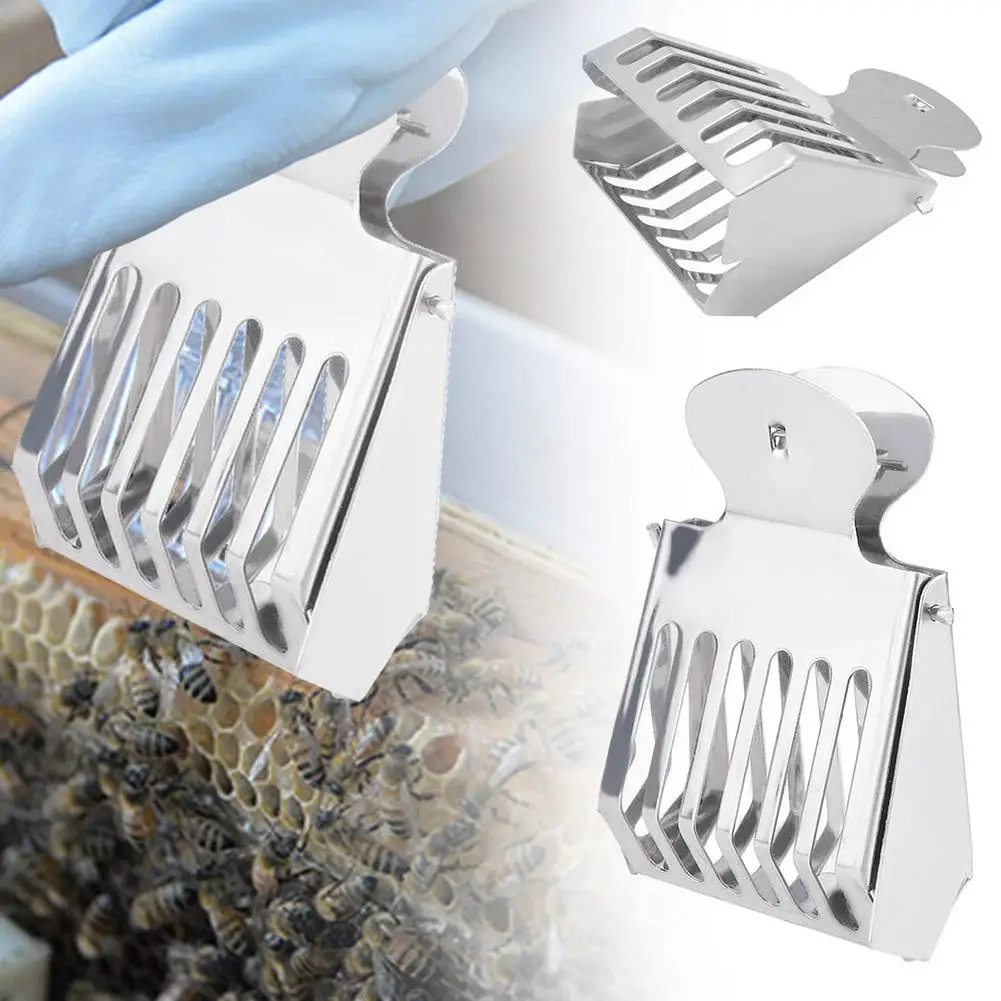 

1 Pc Bee Queen Catcher Clip Stainless Steel Cage Beekeeping Equip Beekeeper Beekeeper Isolation Tool Apiculture Equipment R N0N5