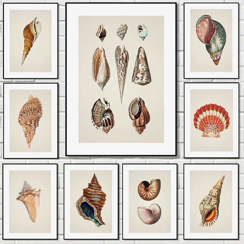 1pc frameless Canvas painting Wonderful Marine Life Starfish Conch and Lobster Cute Canvas Posters and Printed Pictures for Bedr