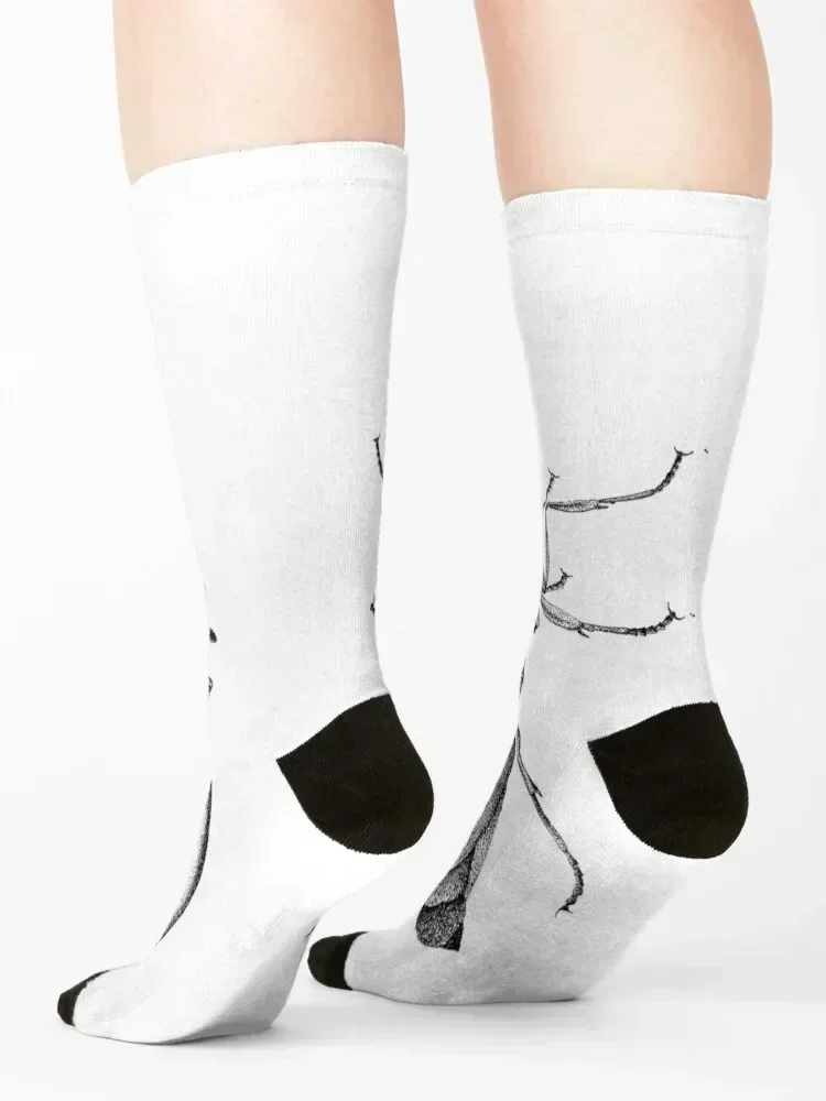 النملة واقعية في الجوارب السوداء والبيضاء المستجدات أنيمي الرياضة المخصصة الكثير الجوارب النساء الرجال