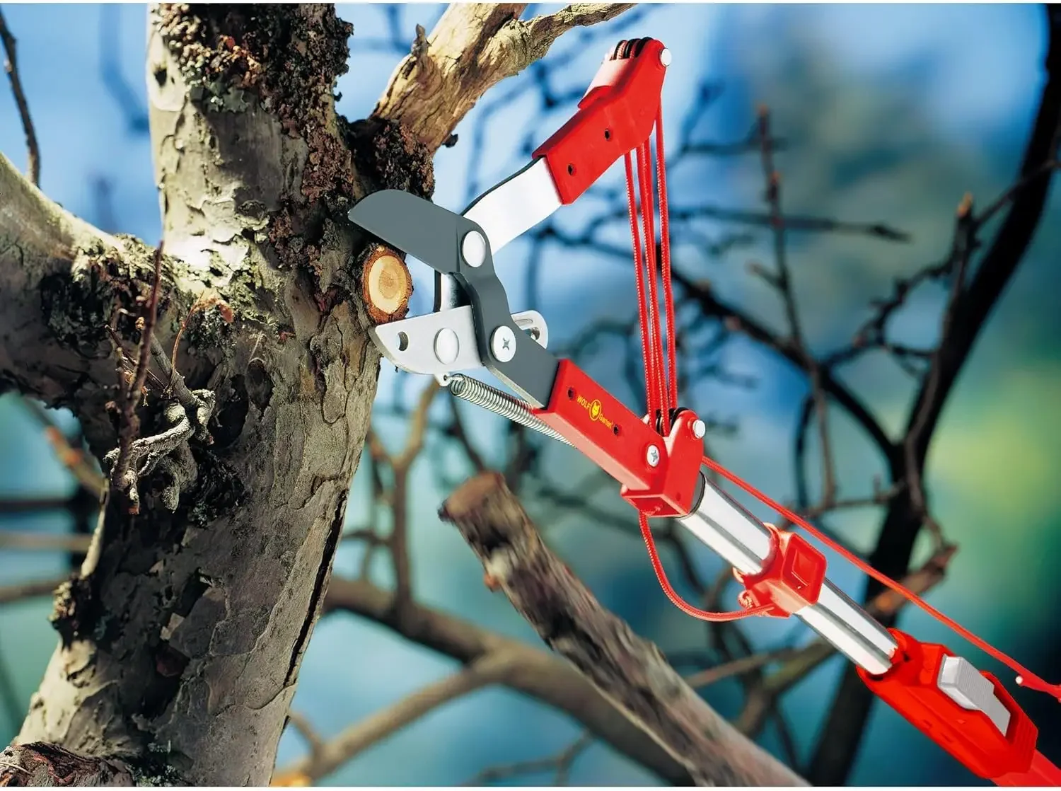 JNS_413372 مقصات شجرة RCM متعددة النجوم RC-M NEU2018، 37 × 23 × 7 سم، أحمر