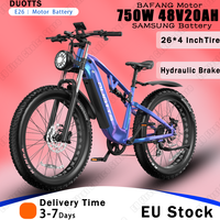 Electric Bike 750W Powerful Motor 48V20AH Lithium Battery E-Bike Hydraulic Brake 26*4 Inch Fat Tire Off-road Mountain E-Bicycle