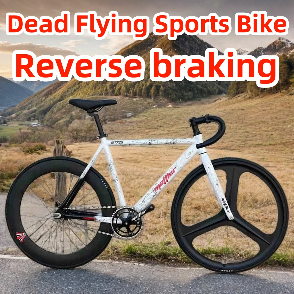 

700C Велосипед с фиксированной передачей, односкоростной спортивный велосипед Fixie, комплект рамы из алюминиевого сплава, комплект гоночных колес, тормоз V/C