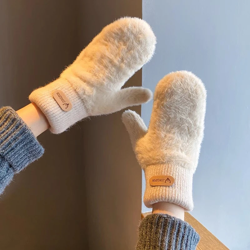 Cute Winter Thicken Warmer Women Gloves Plush Full Finger Mittens Warm Soft Fingerless Gloves for Cold Weather