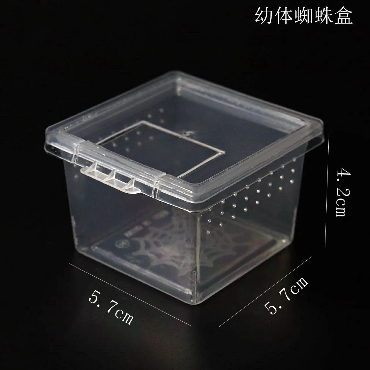 Mantis feeding  Mantis cage Insect feeding  Pet Mantis living feeding  Reptile  Cage