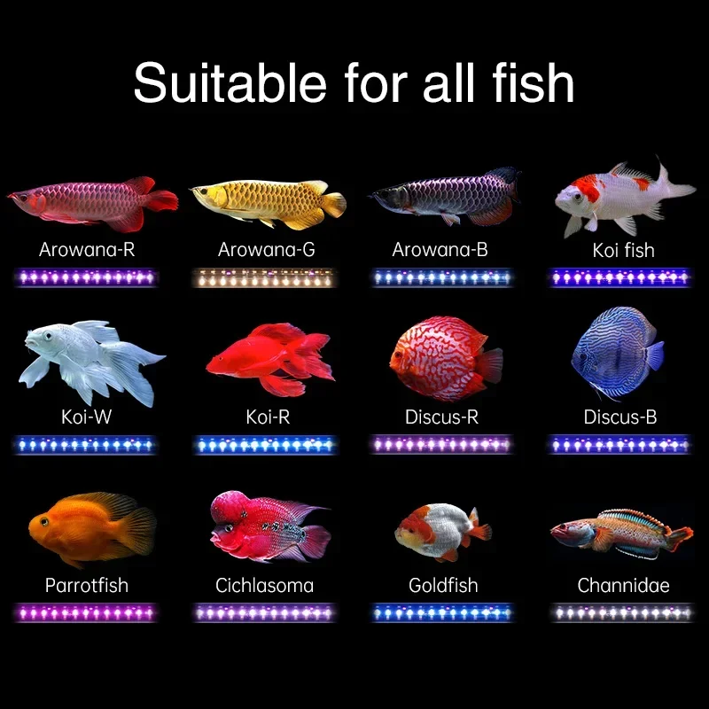 WEEK AQUA T12 Aquarium Light Ip68 Underwate Arowana Fish Super Red Led Aquarium Light for Arowana Tank