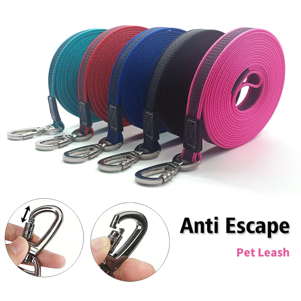 Correa larga para perro grande, cuerda de tracción de entrenamiento antifuga sin plata, 10M, 5M, 3M, 2M, correas de nailon duraderas para mascotas medianas y grandes de 3, 2 metros
