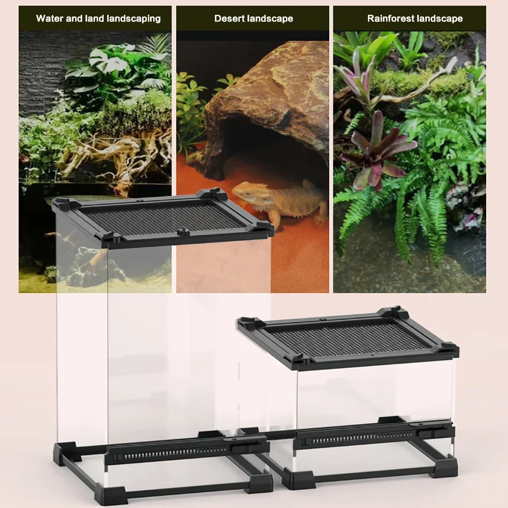 Amphibious Climbing Pet Breeding Box Ecological Landscape Tempered Glass Single Door Rainforest Tank Lizard Turtle Breeding Box