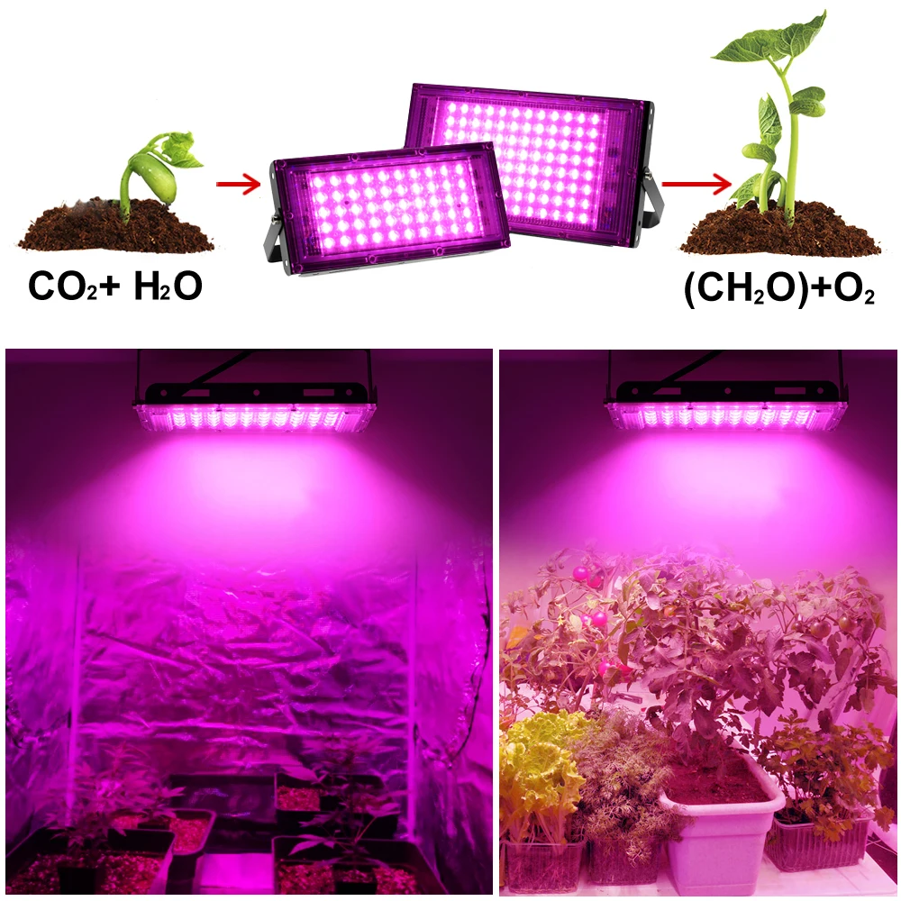 Luz LED de espectro completo para crecimiento de plantas, tablero cuántico, luz de relleno para cultivo de plántulas, 50/100/200/300W, novedad