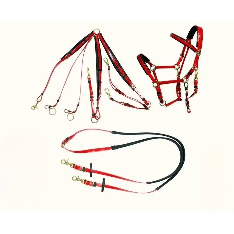 Durable Padded TPU Endurance Bridle Set Adjustable Waterproof Horse Tack with Alloy Breastplate Martingale & Reins One Size