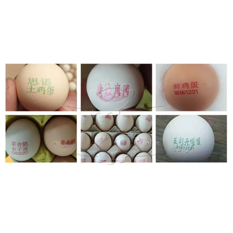 Six nozzle High speed Egg Inkjet Printer Customized Automatic Continuous Date Logo Number Online Code Efficient Poultry Machine