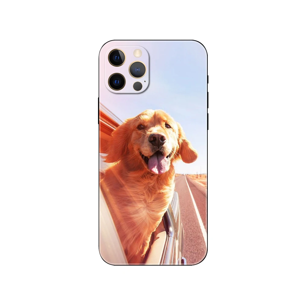 Golden Retriever Friend ，phone case for iphone，14 2020 se 6s 7 8 plus x 10 XR XS 11 12 13 mini pro MAX soft black tpu back cover