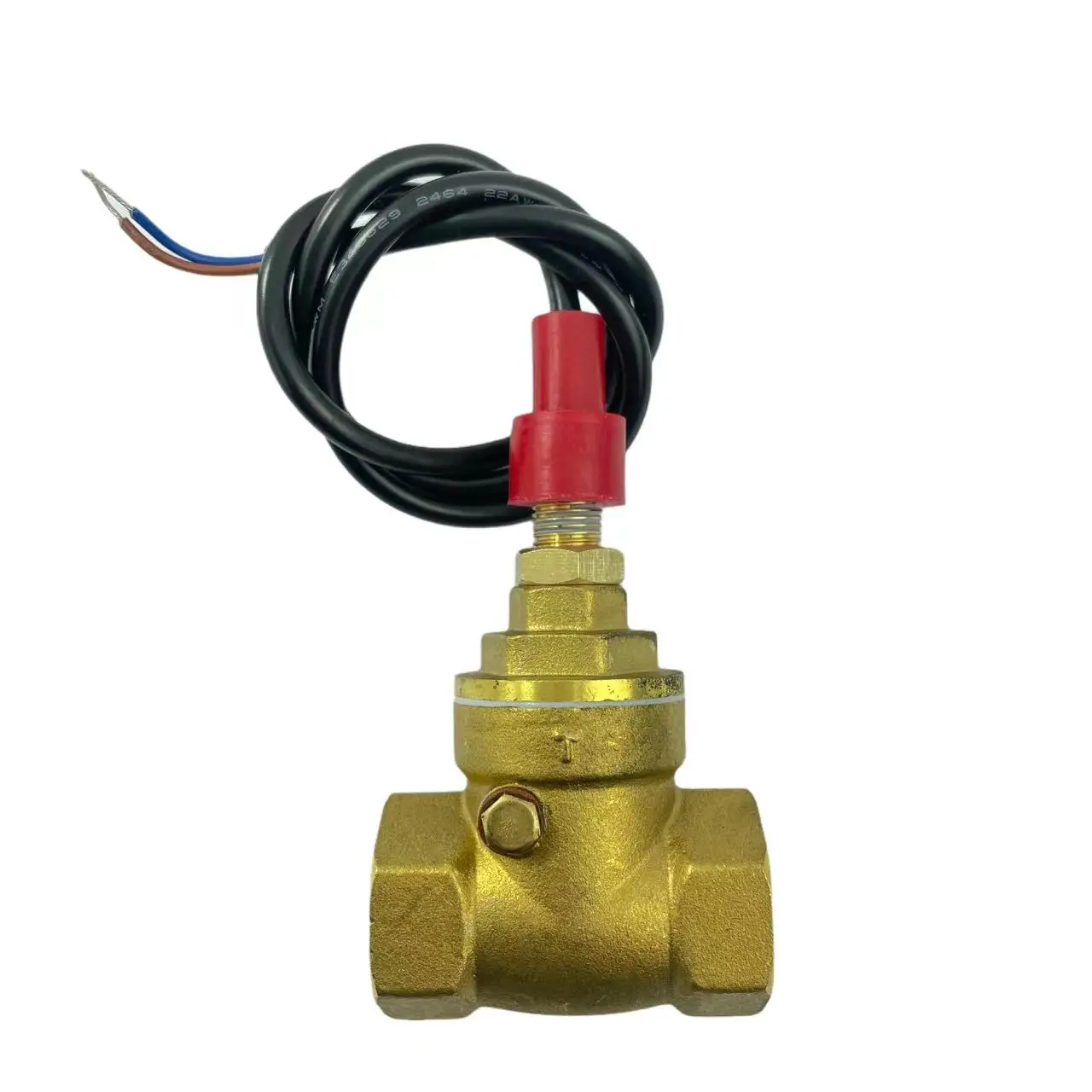 USB-FS21TA Baffle Type Flow Sensor Switch Reed Switch Brass Sensor Switch 5-15L/min 250V DC 70W 2 wire Saier Sensor