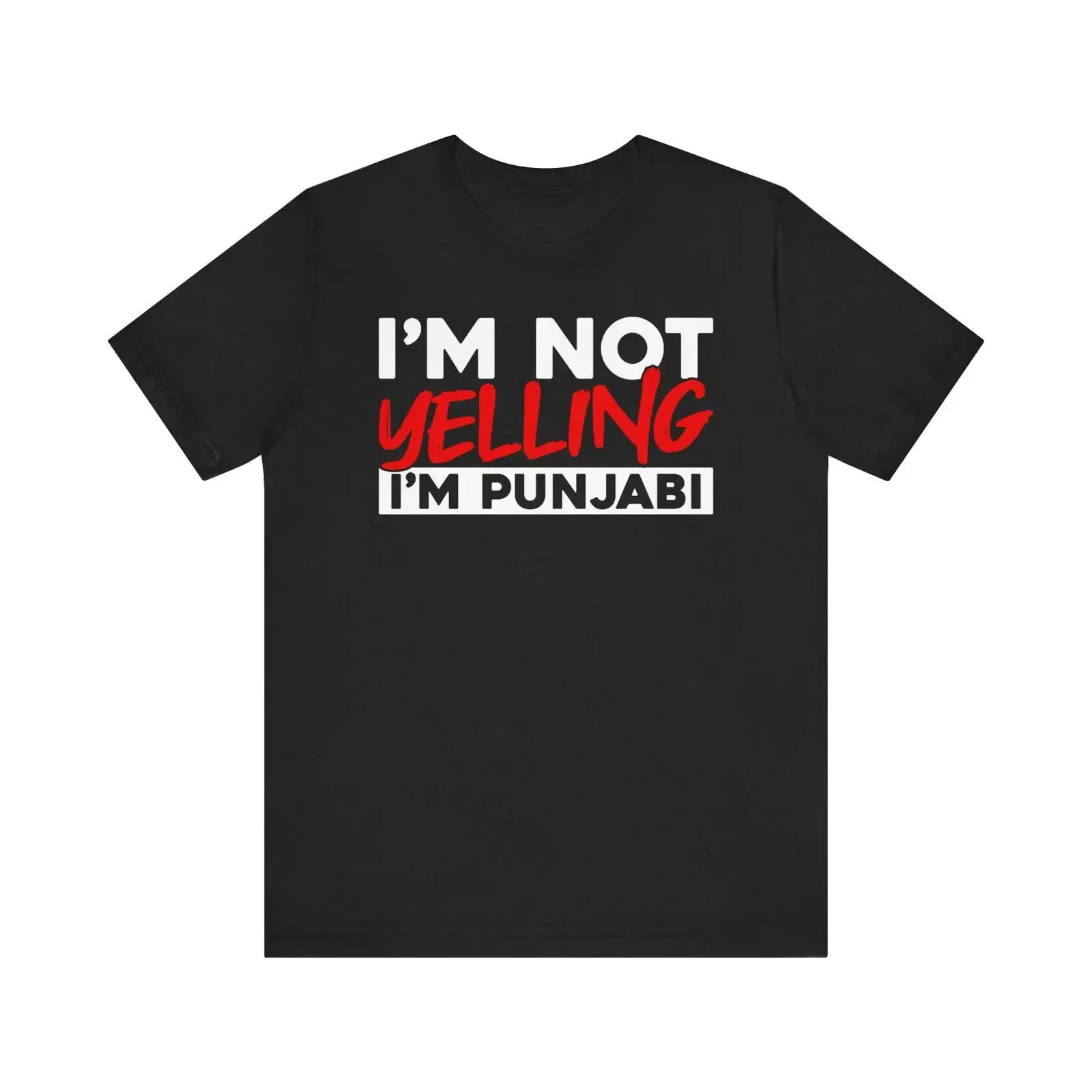 Punjabi T Shirt Desi Pride Culture Identity Indian Heritage Language Festival Apparel vintage Washed Unisex fashion streetwear
