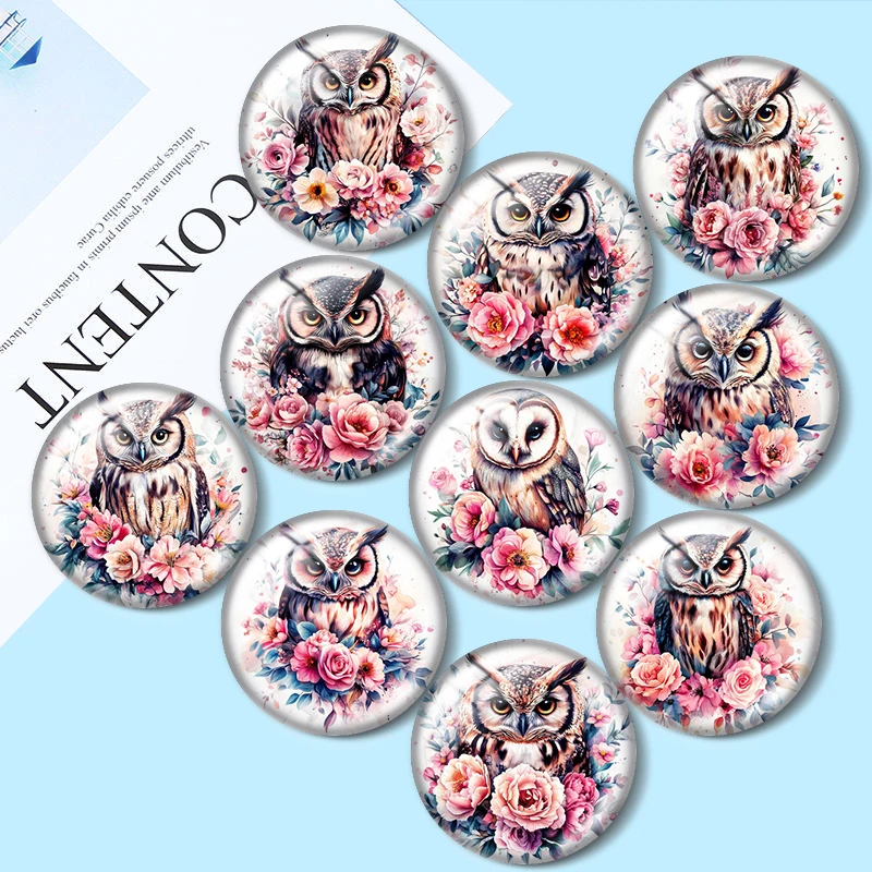 

Floral Owl Clipart DIY 10pcs 12mm/16mm/18mm/30mm Round Photo Glass Cabochon 25mm Demo Flat Back Making findings