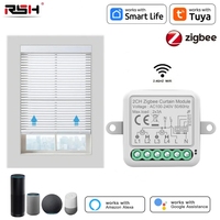 RSH Tuya ZigBee Smart Curtains Module Window Blinds Roller Curtain Shutter Switch Smart Home Electric Motor for Alexa Google