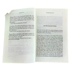 The Mountain Is You: Mengubah Sabotase Diri Menjadi Penguasaan Diri Buku Bahasa Inggris Hadiah Ulang Tahun 6 buku dewasa dengan penjualan terbaik - №