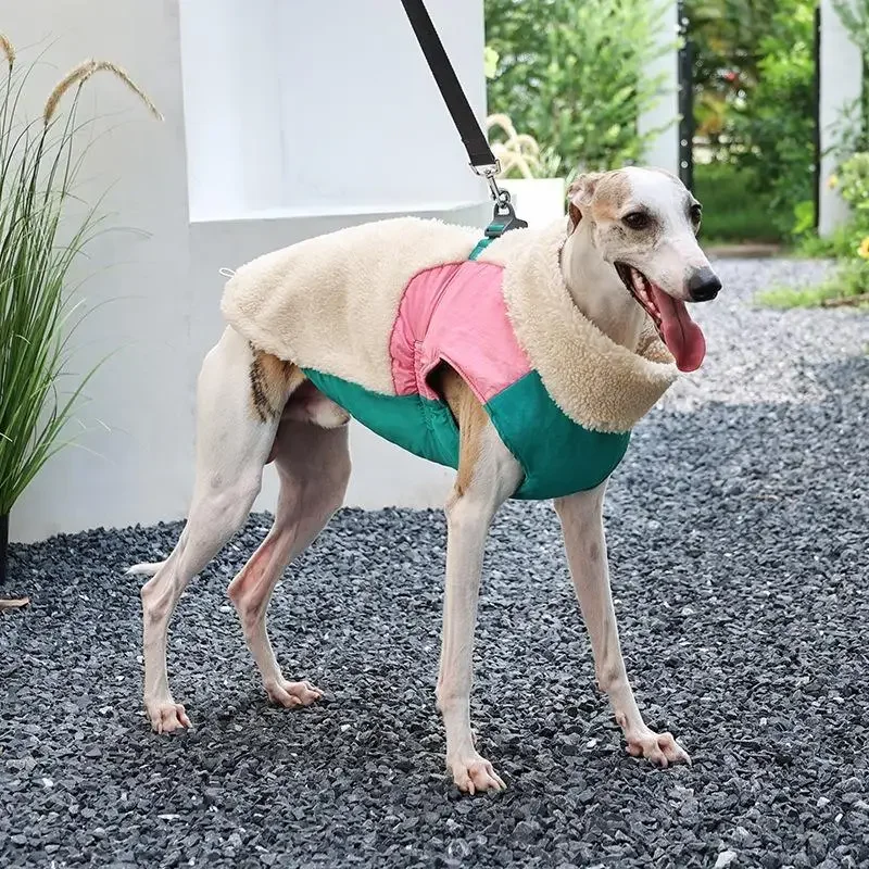 Winter Dog Coat Warm Windproof Lamb Fleece Vest Leash Clip Soft Pet Jacket Puppy Walking Cold Weather Outdoor Apparel